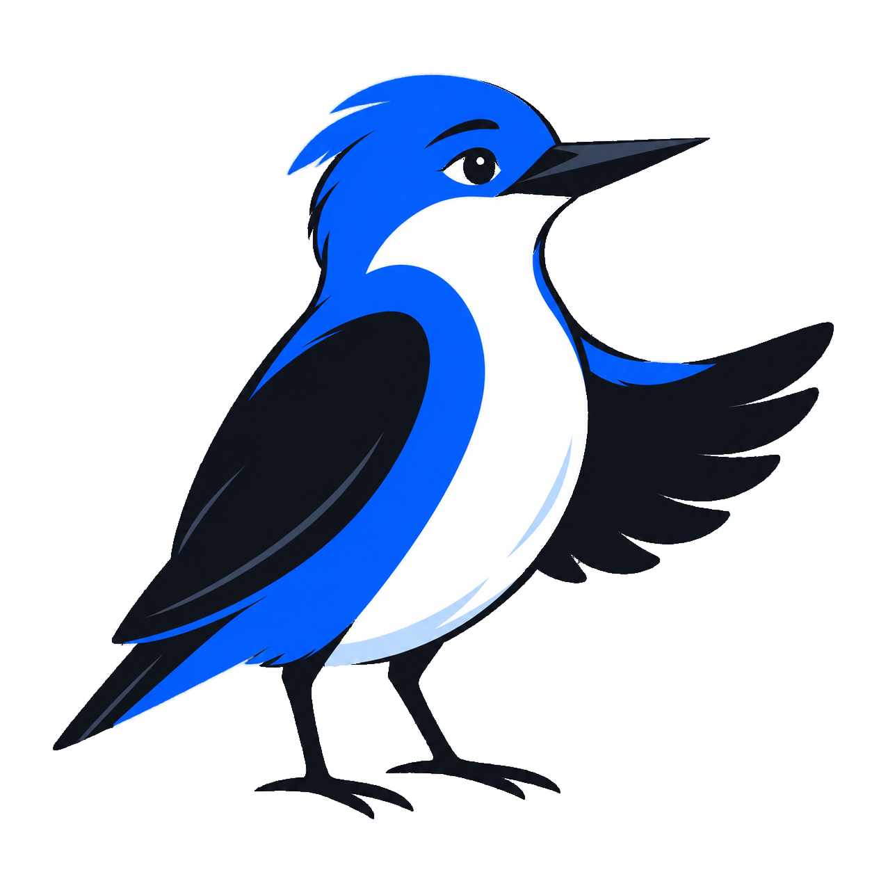 Buck, the blue Heybuck bird with a white chest